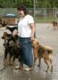Constanze Martin f�hrte fr�her als Hobby Hunde des Tierheims aus. Mittlerweile sitzt sie dort im Vorstand.